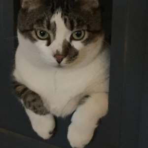 Meet your Posher, Mark